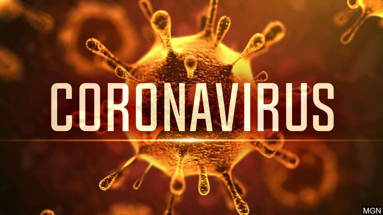 Repubblica: con il 3D individuati i punti deboli del coronavirus