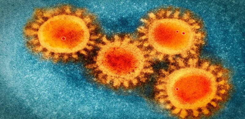 Dà buoni risultati la sperimentazione del farmaco napoletano per il Coronavirus